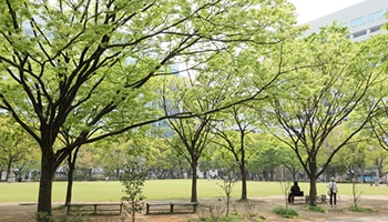 天神中央公園