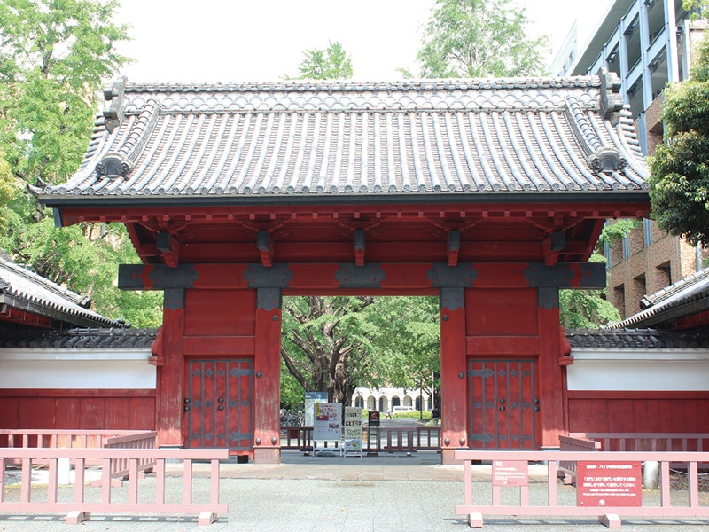 東京大学（本郷キャンパス）